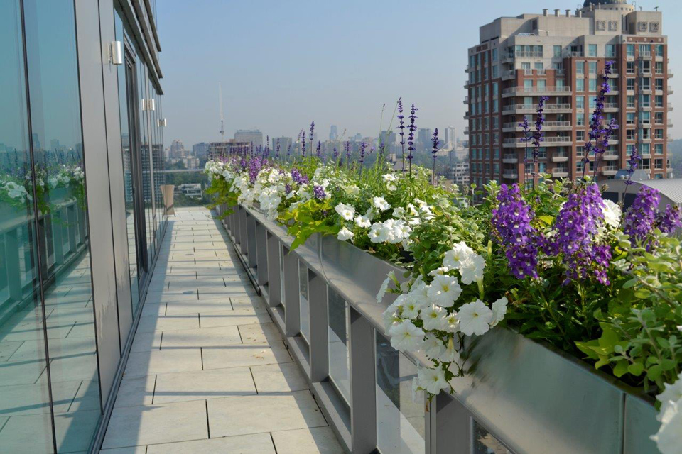 urban garden design toronto