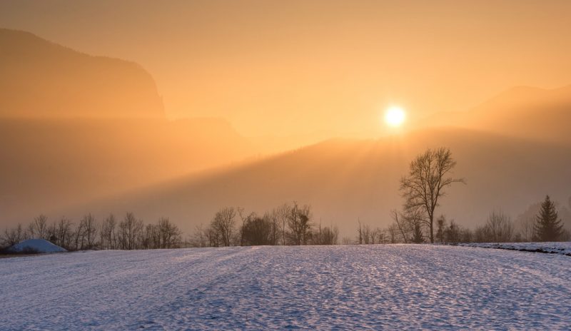 winter lawn