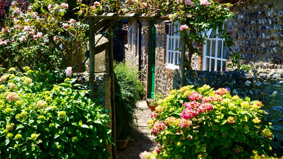 backyard landscaping