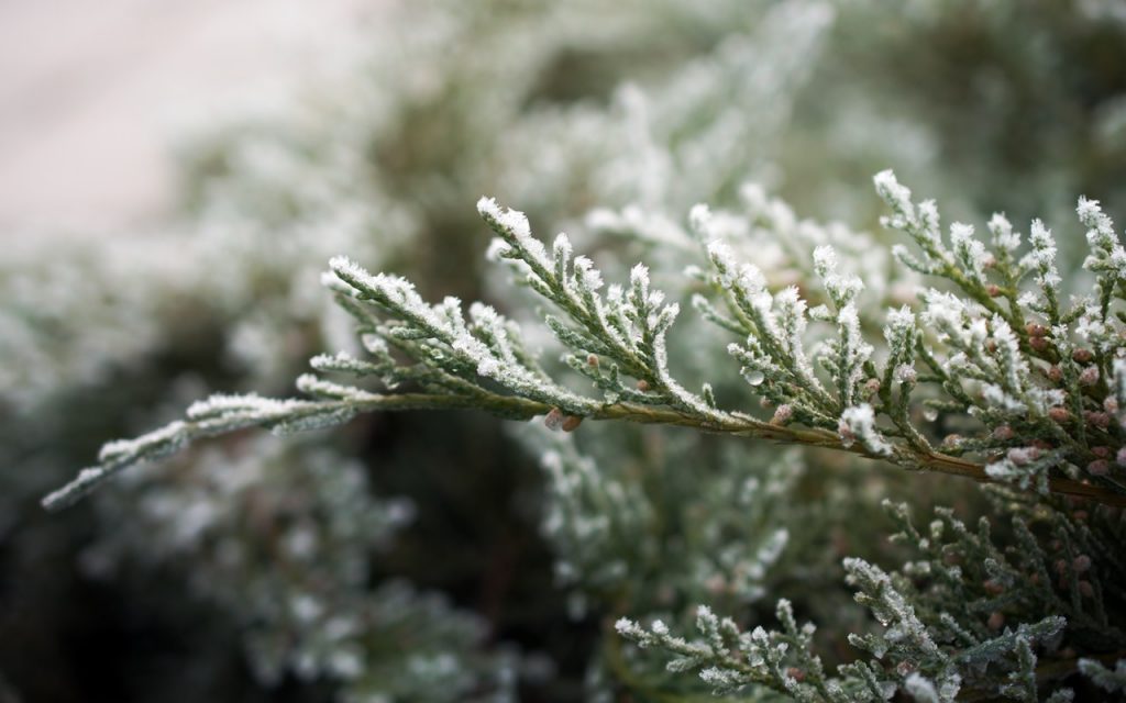 Four Landscaping Tasks To Do In Winter, What Landscaping Can You Do In Winter