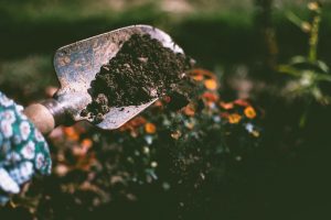 Modern Landscaping