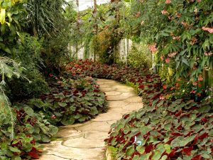 facts about hardscaping