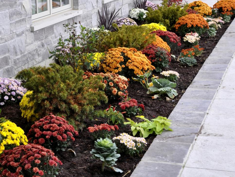 Fall Landscaping Tips