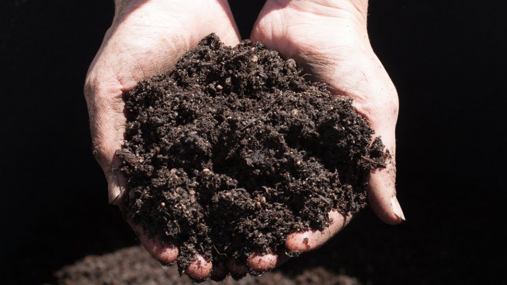 what is topsoil
