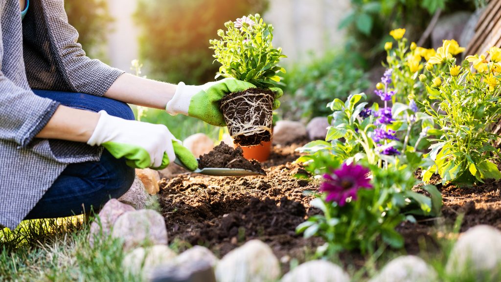 Spring Gardening Checklist