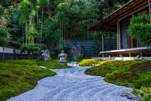 Backyard Landscaping Project