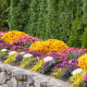 Four August Landscaping Tips