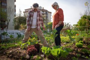 best-plants-for-urban-garden-toronto