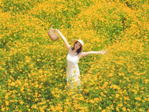 Woman in yellow flower field, modern landscape design