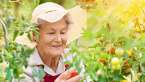 Older woman in garden with modern landscaping Toronto