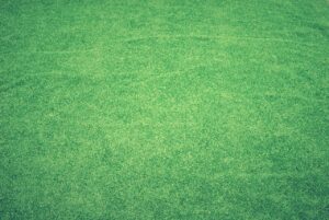 green artificial turf installation Toronto