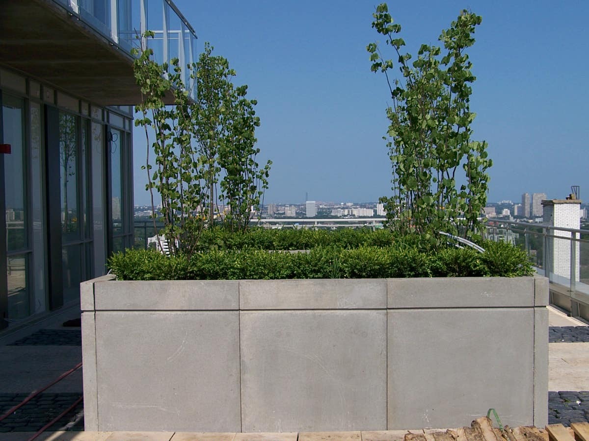 Rooftop garden with urban landscape view