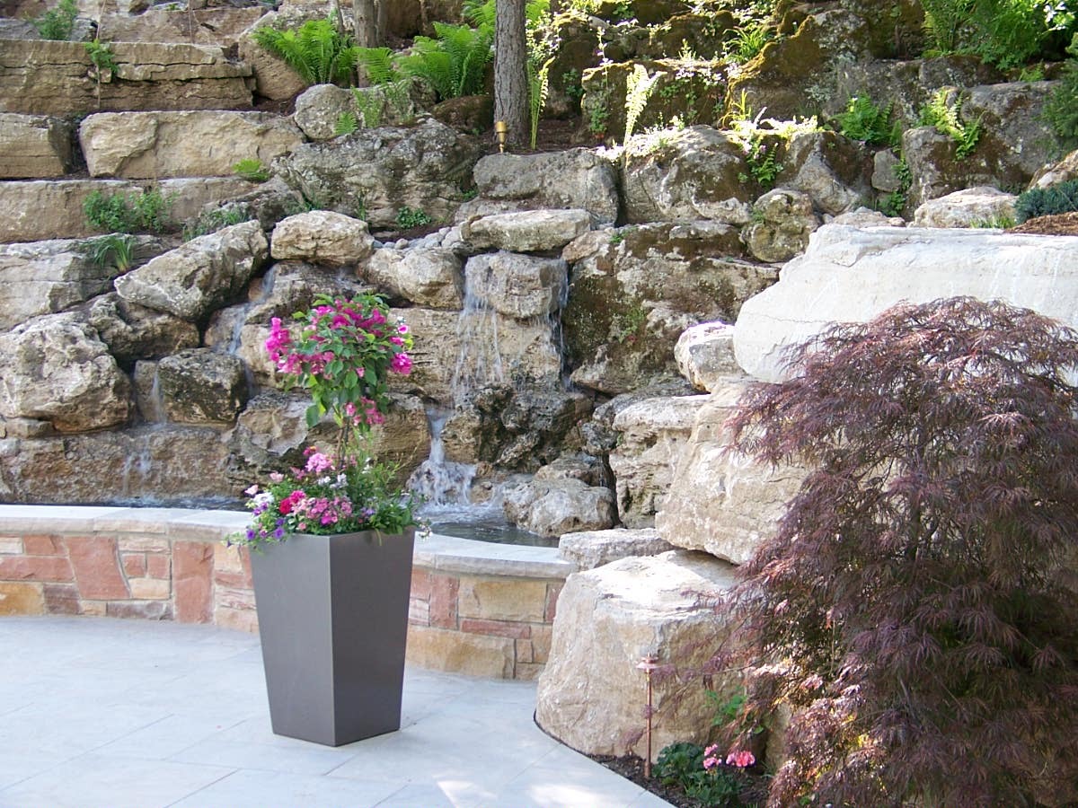 Rock garden with pink flowers and ferns