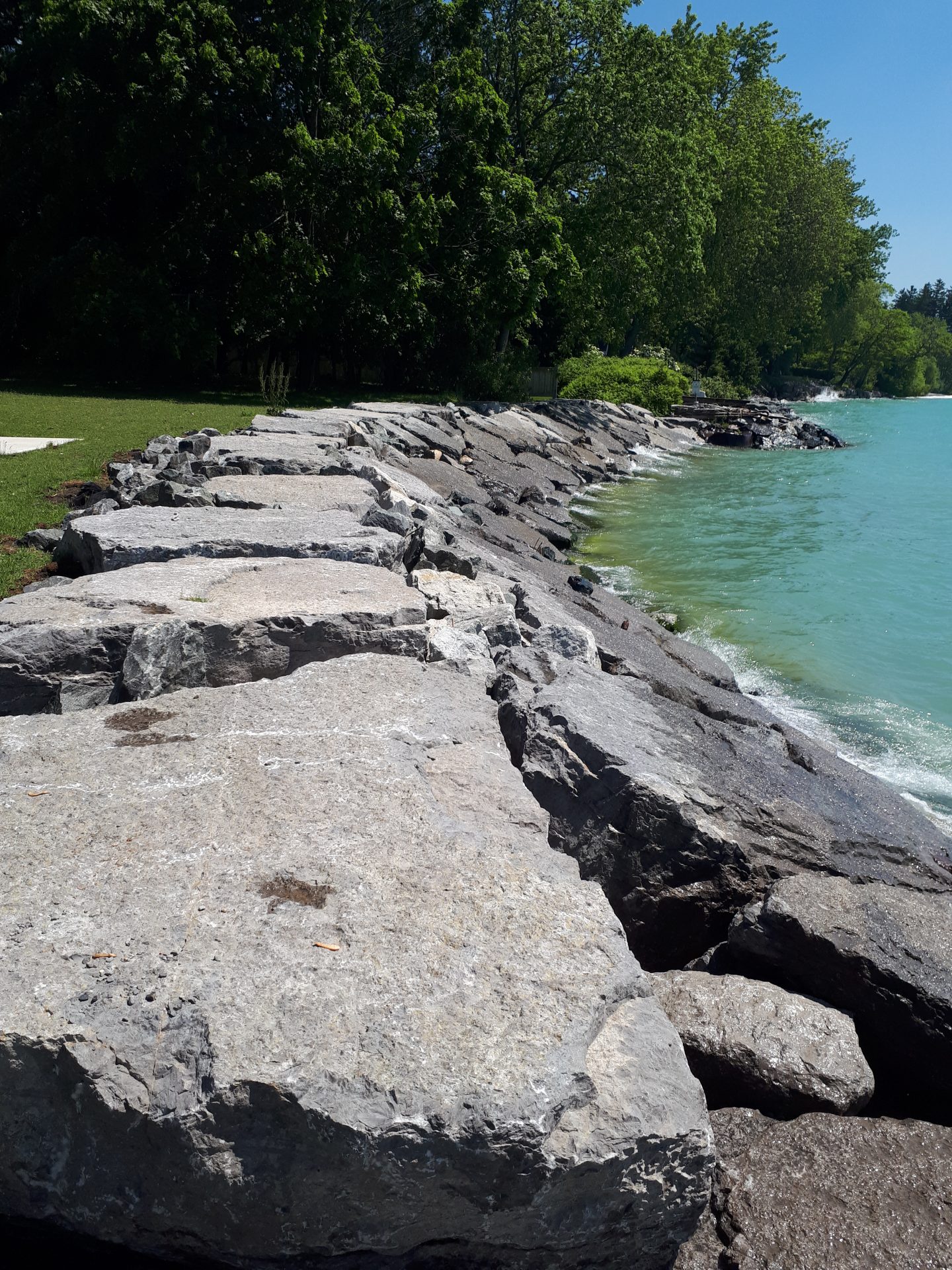 Rocky shoreline with trees and blue water