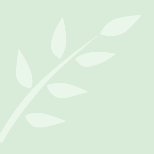 Minimalist pale green leaf illustration
