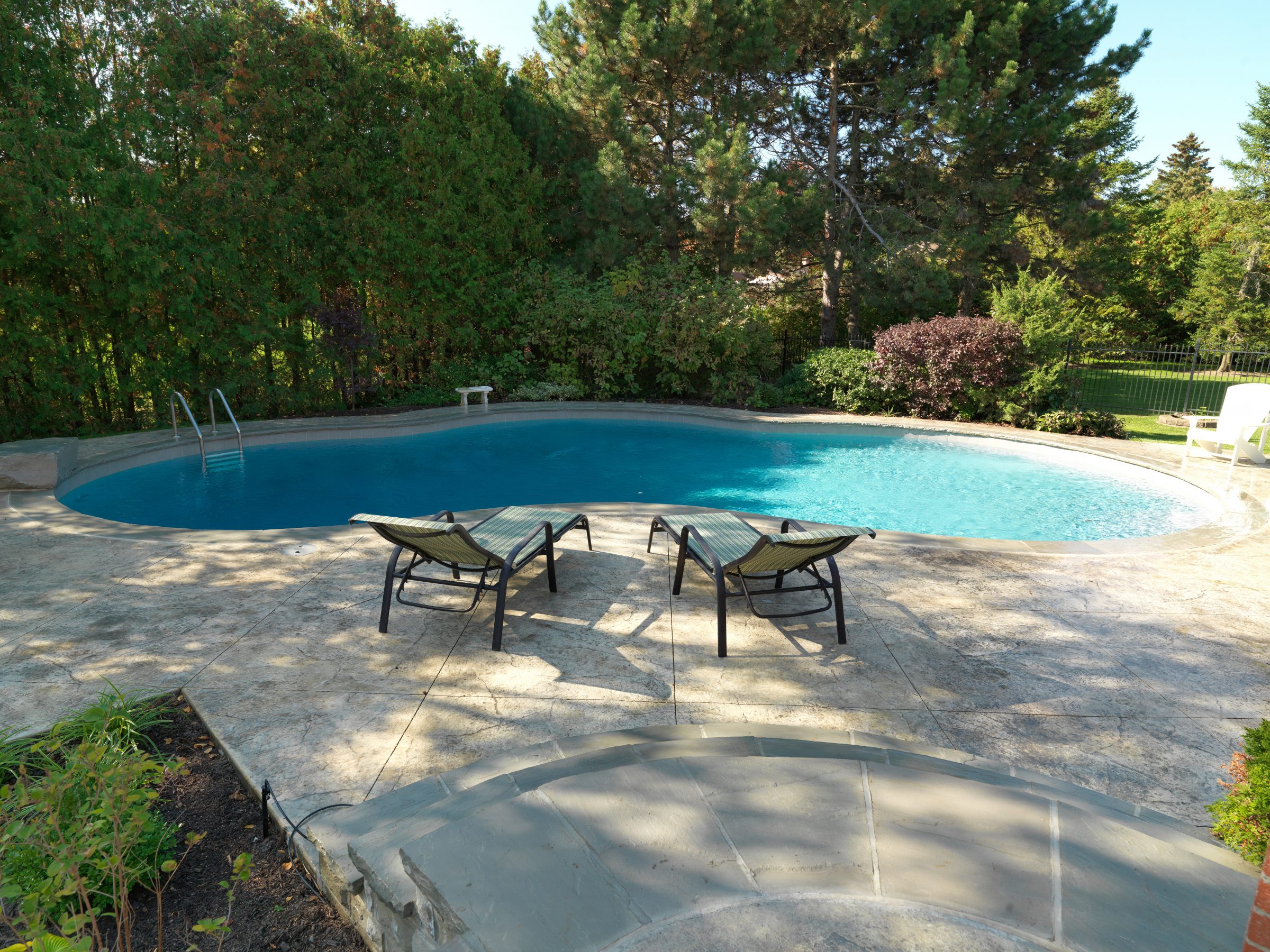 Backyard pool with lounge chairs and trees