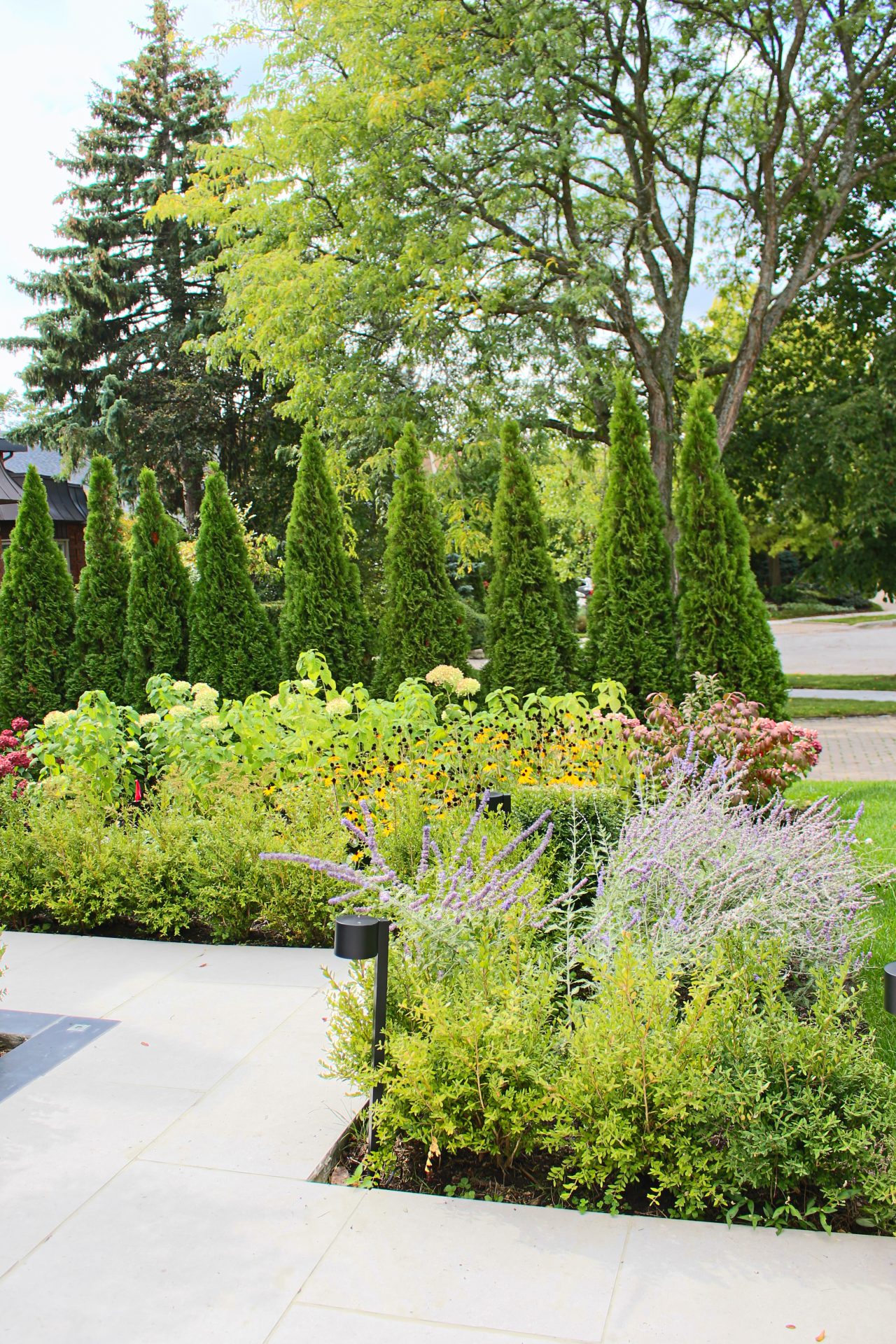 Green garden with trees and colorful flowers