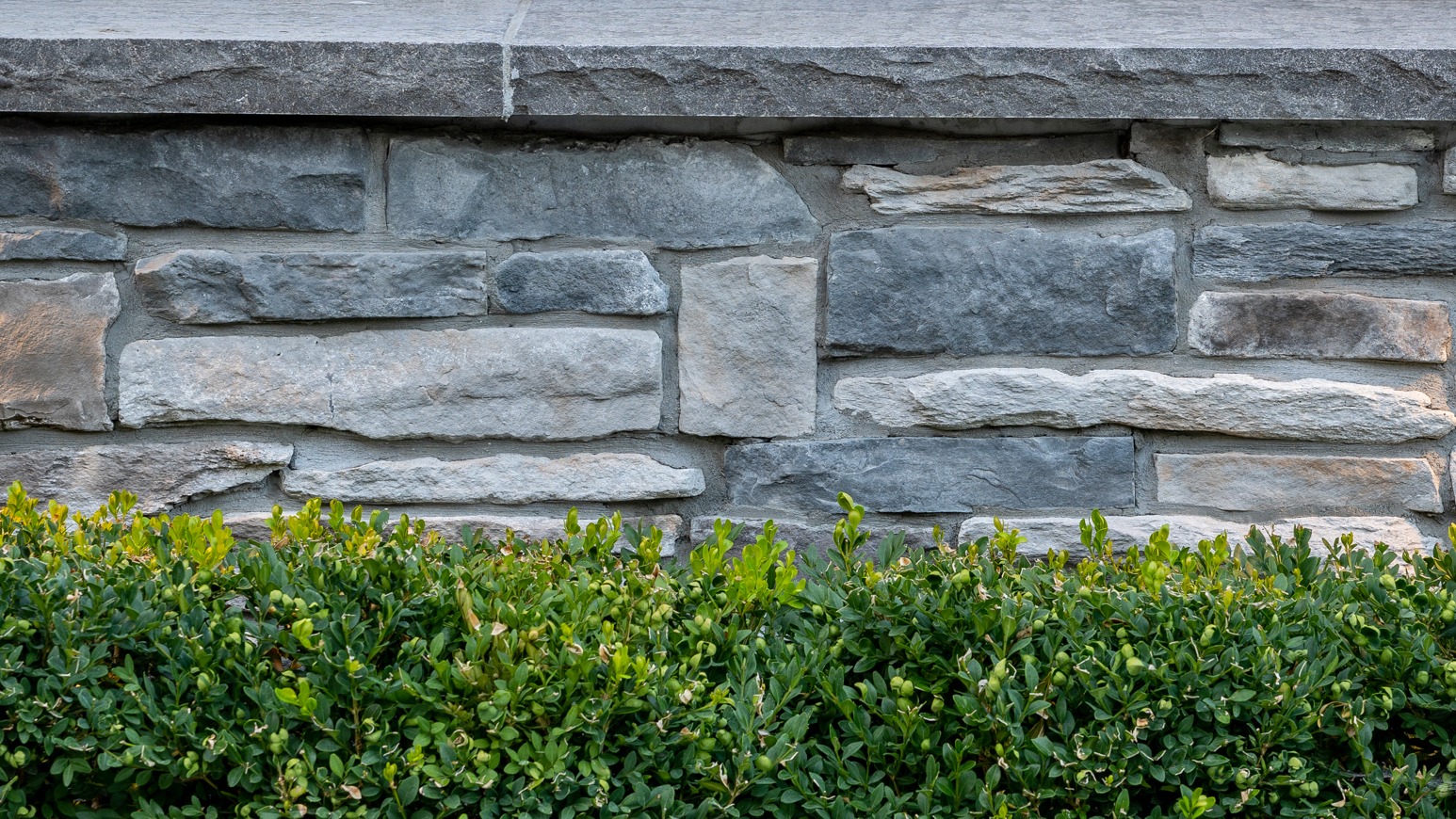 Stone wall with green bushes