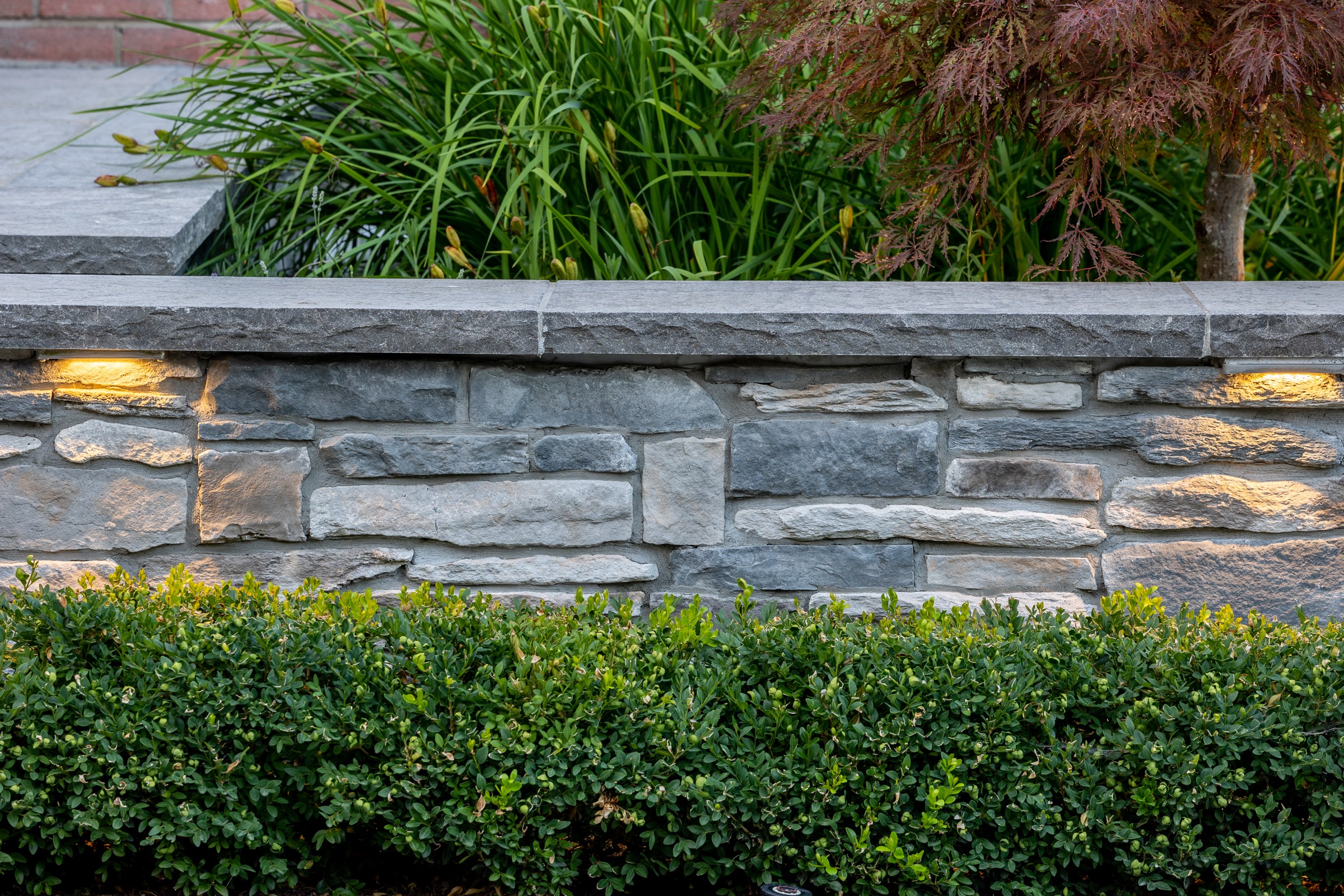 Stone wall with garden plants and lights.