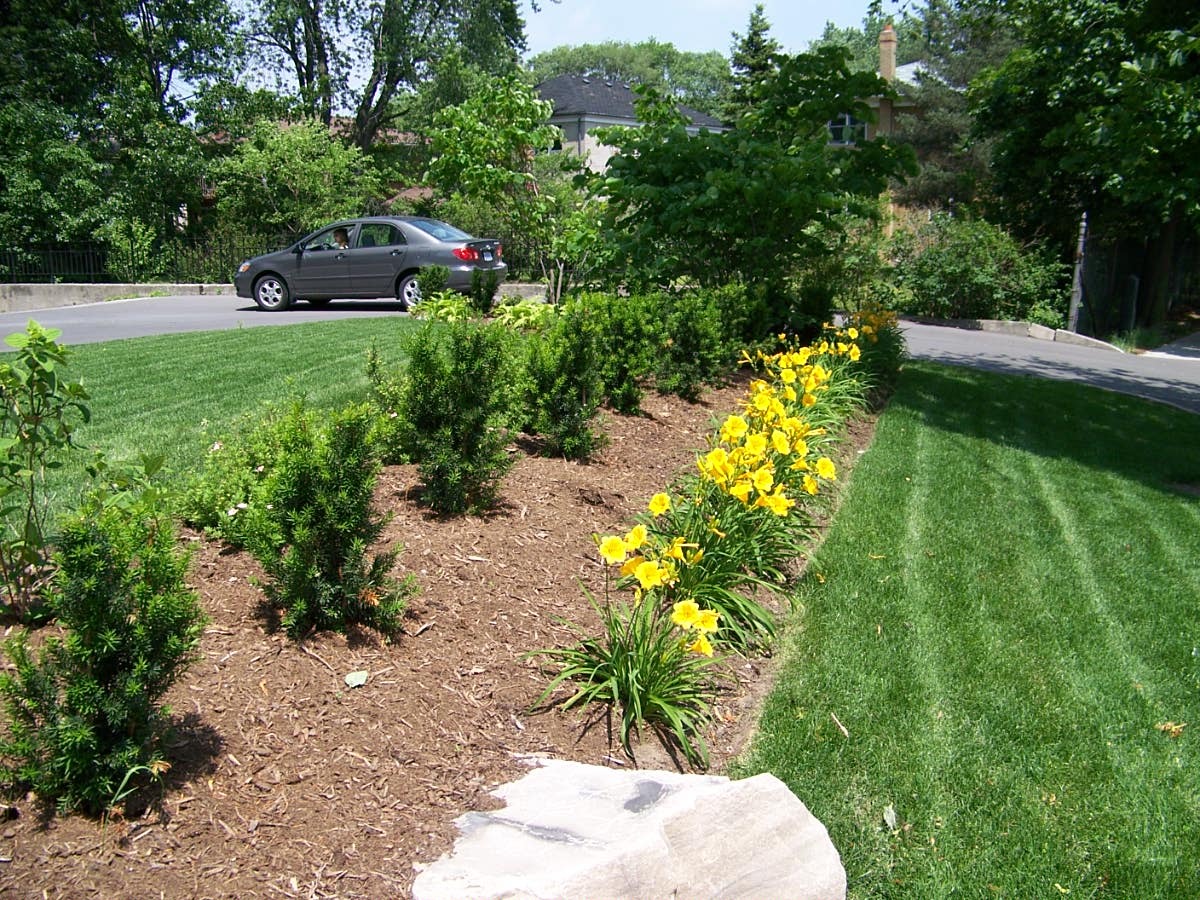 Sunny garden with yellow flowers and green lawn.