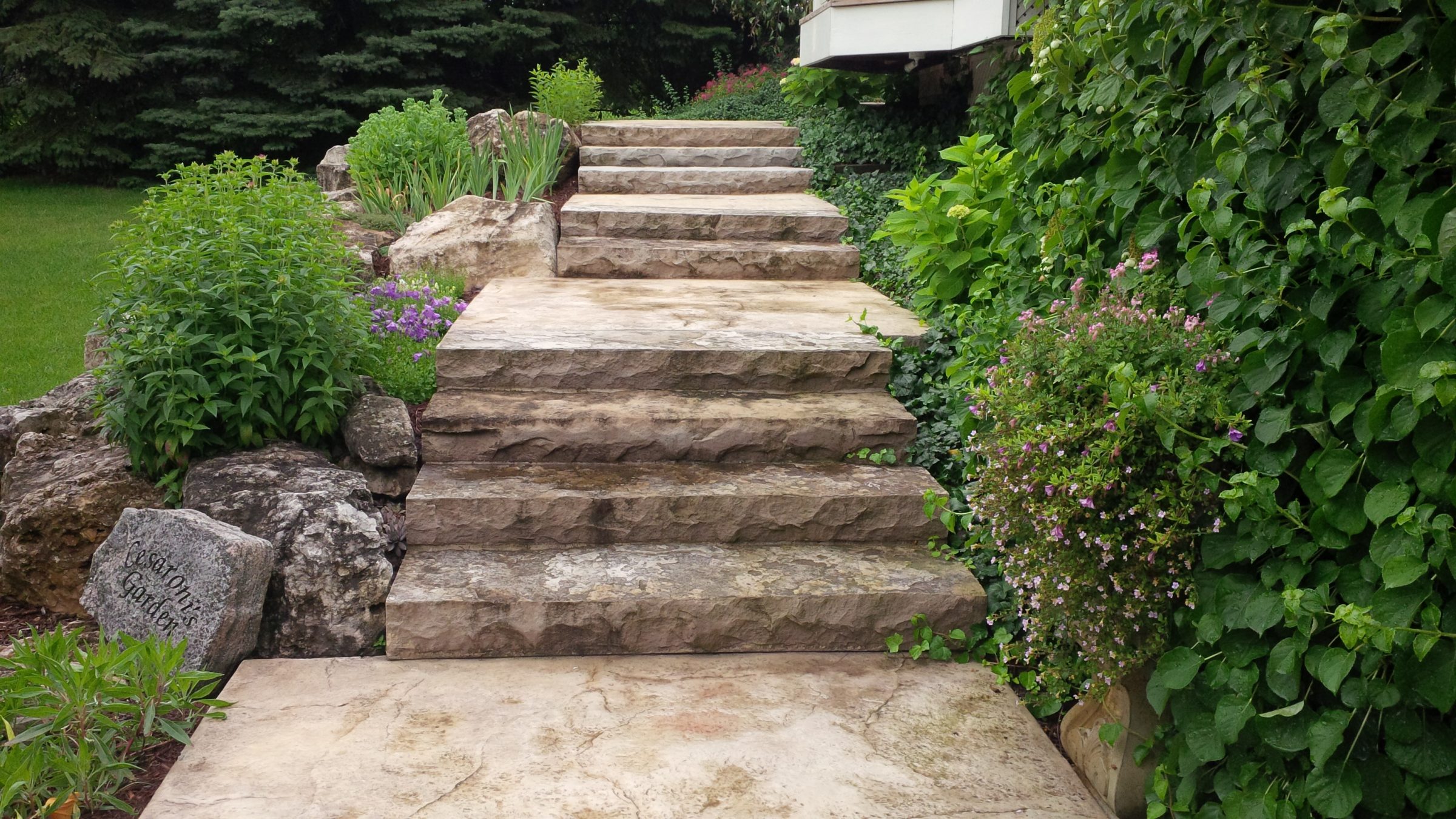 Stone steps surrounded by green plants and flowers.