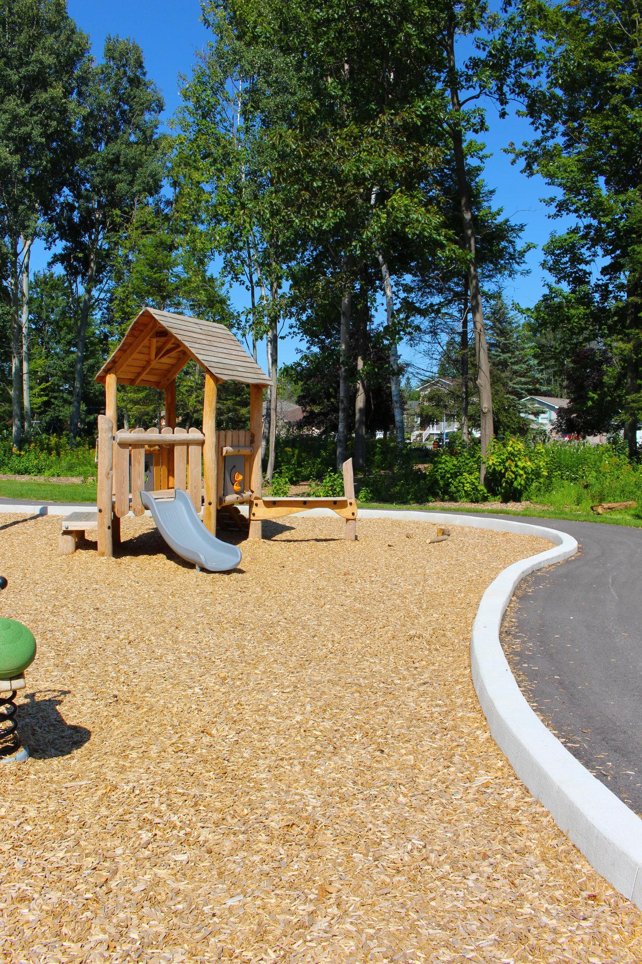 Playground with slide surrounded by trees and path.