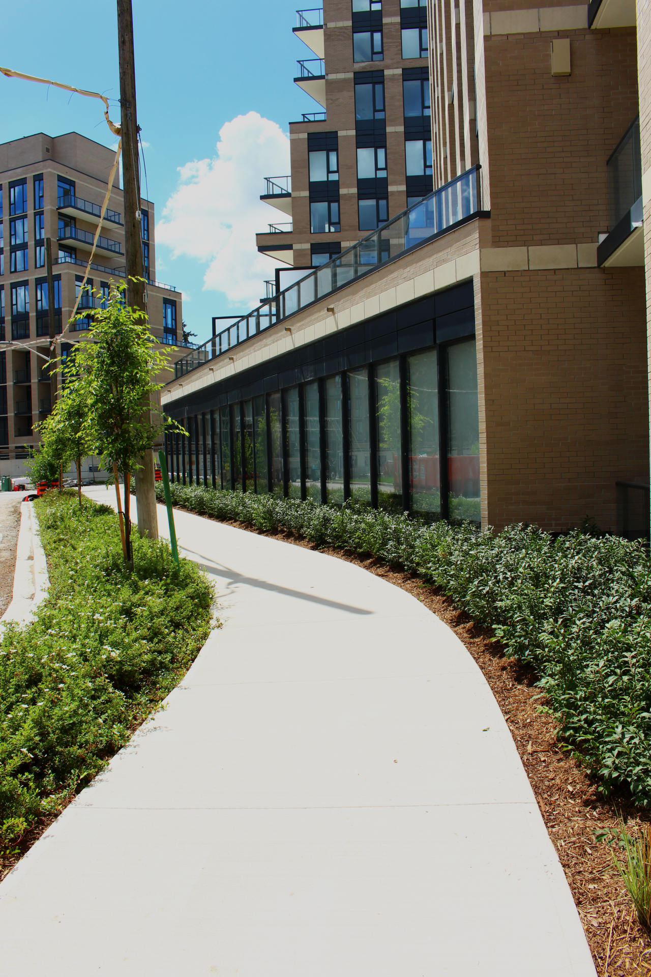 Modern city building with green walkway