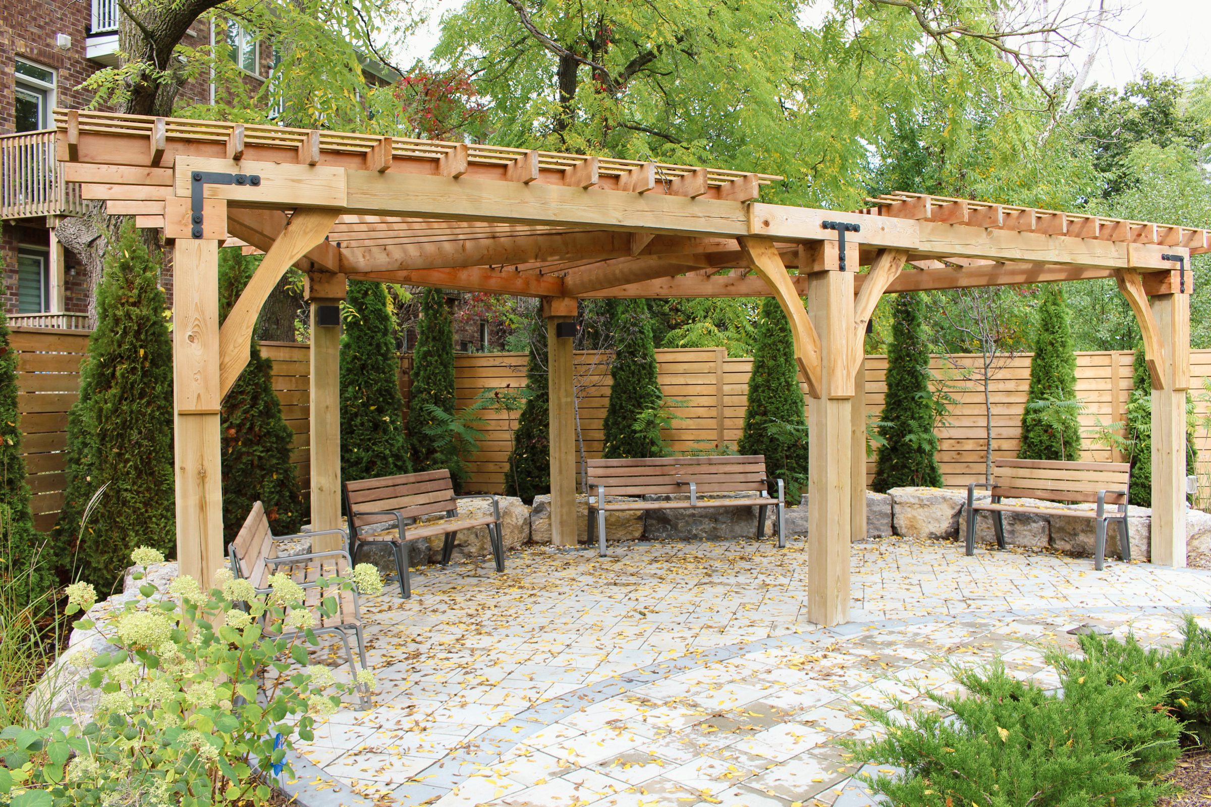 Wooden pergola with benches in a garden setting.