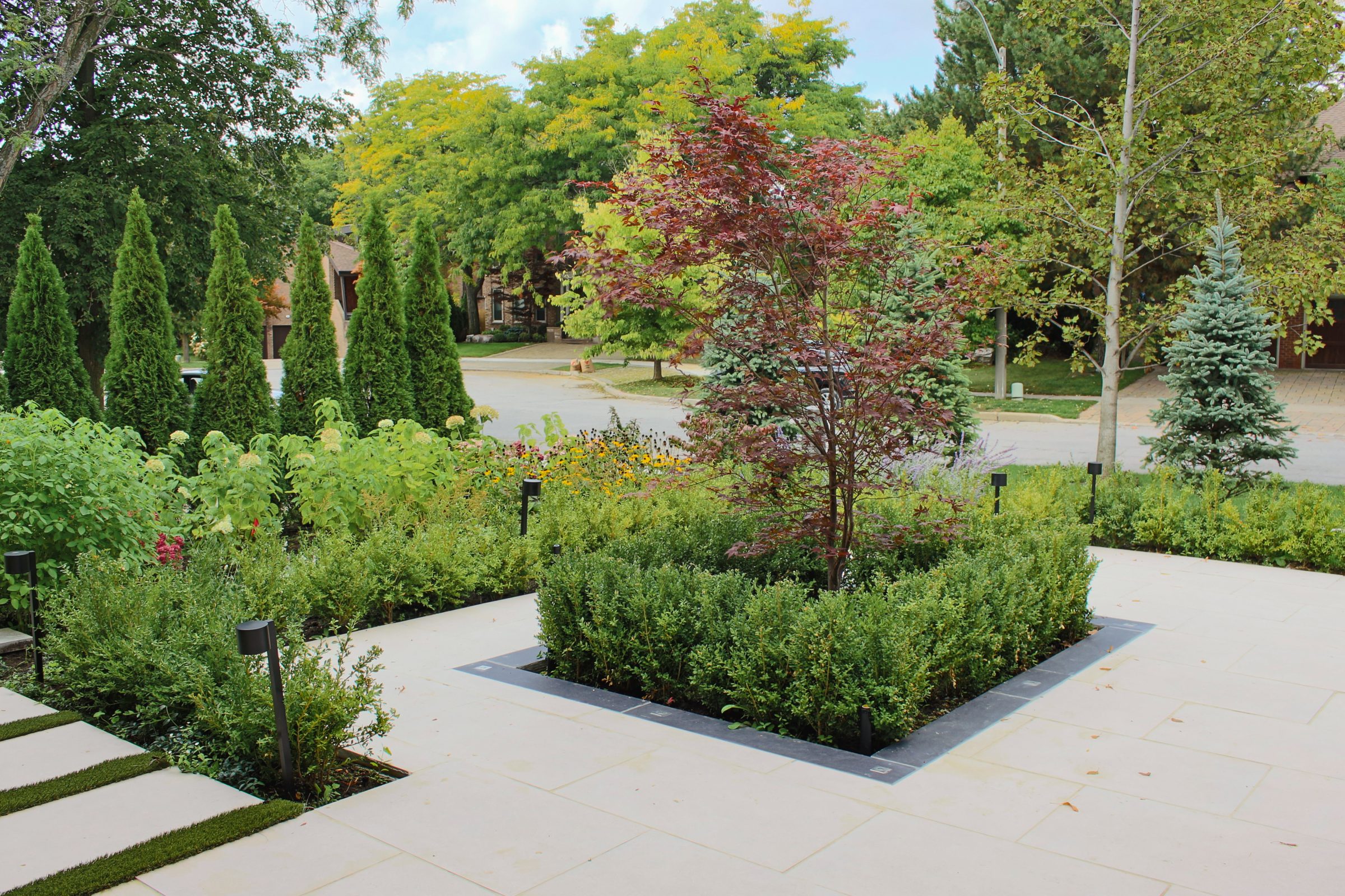 Modern landscaped garden with diverse trees and shrubs.