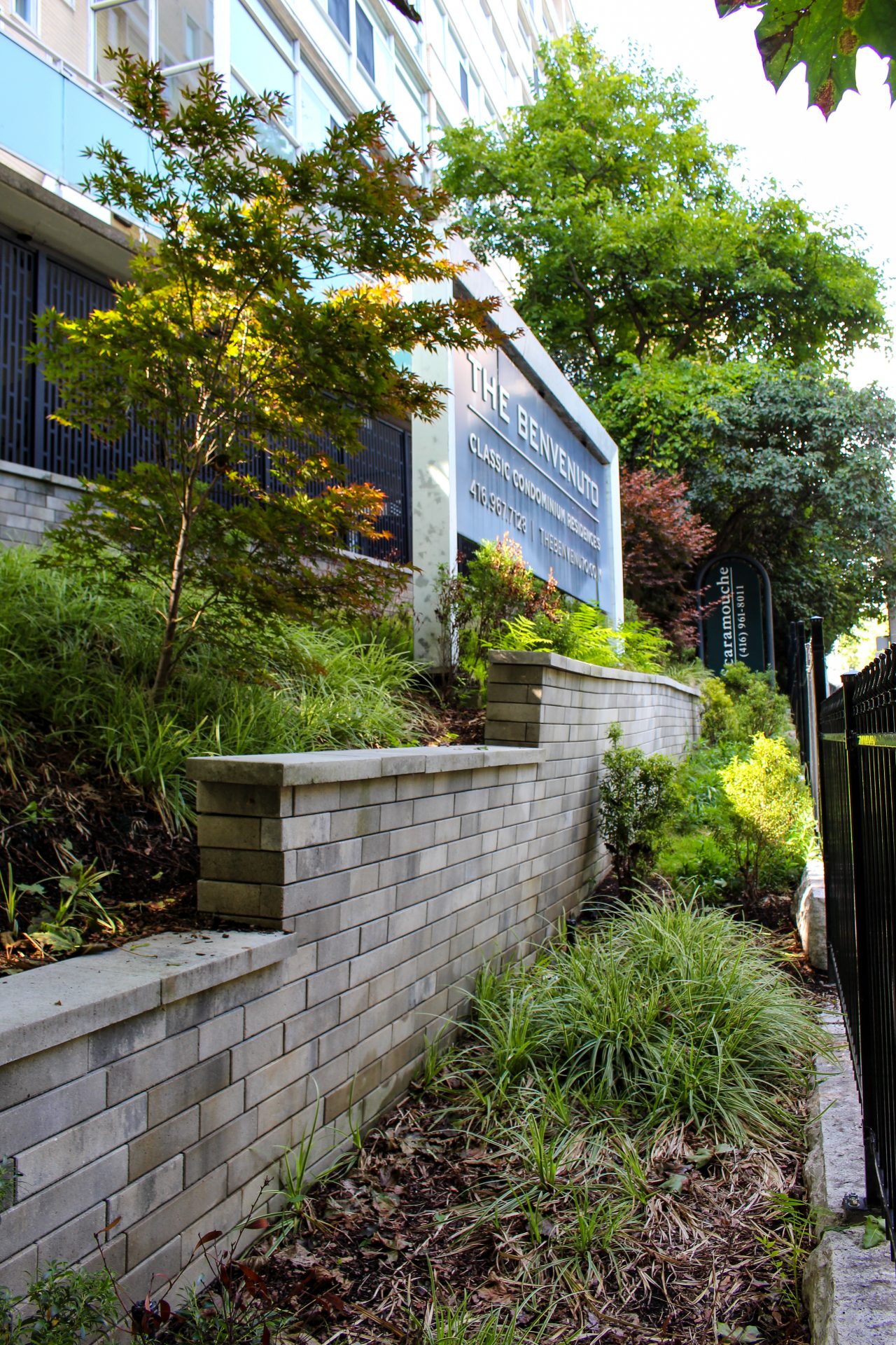 Garden wall with lush greenery and trees.