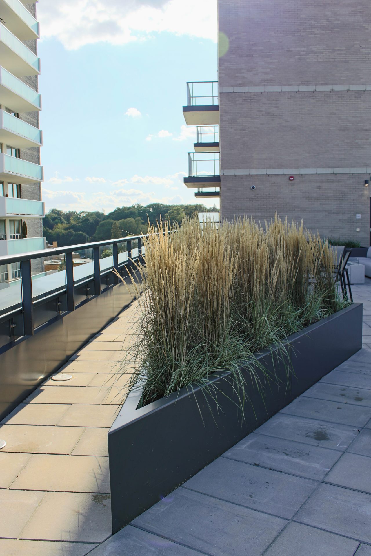 Rooftop garden with modern planters and skyline view.