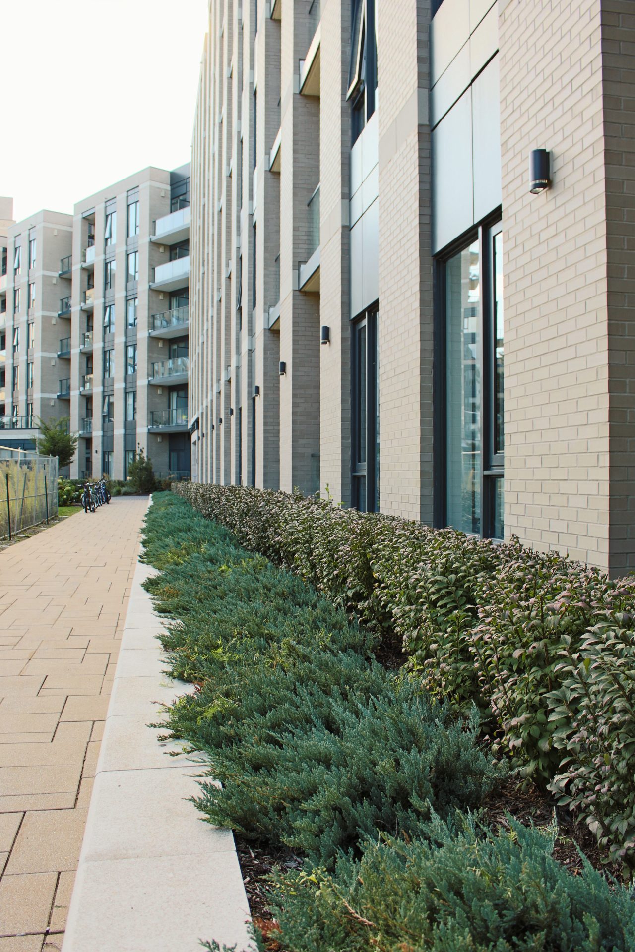 Contemporary apartment buildings with landscaped pathway.