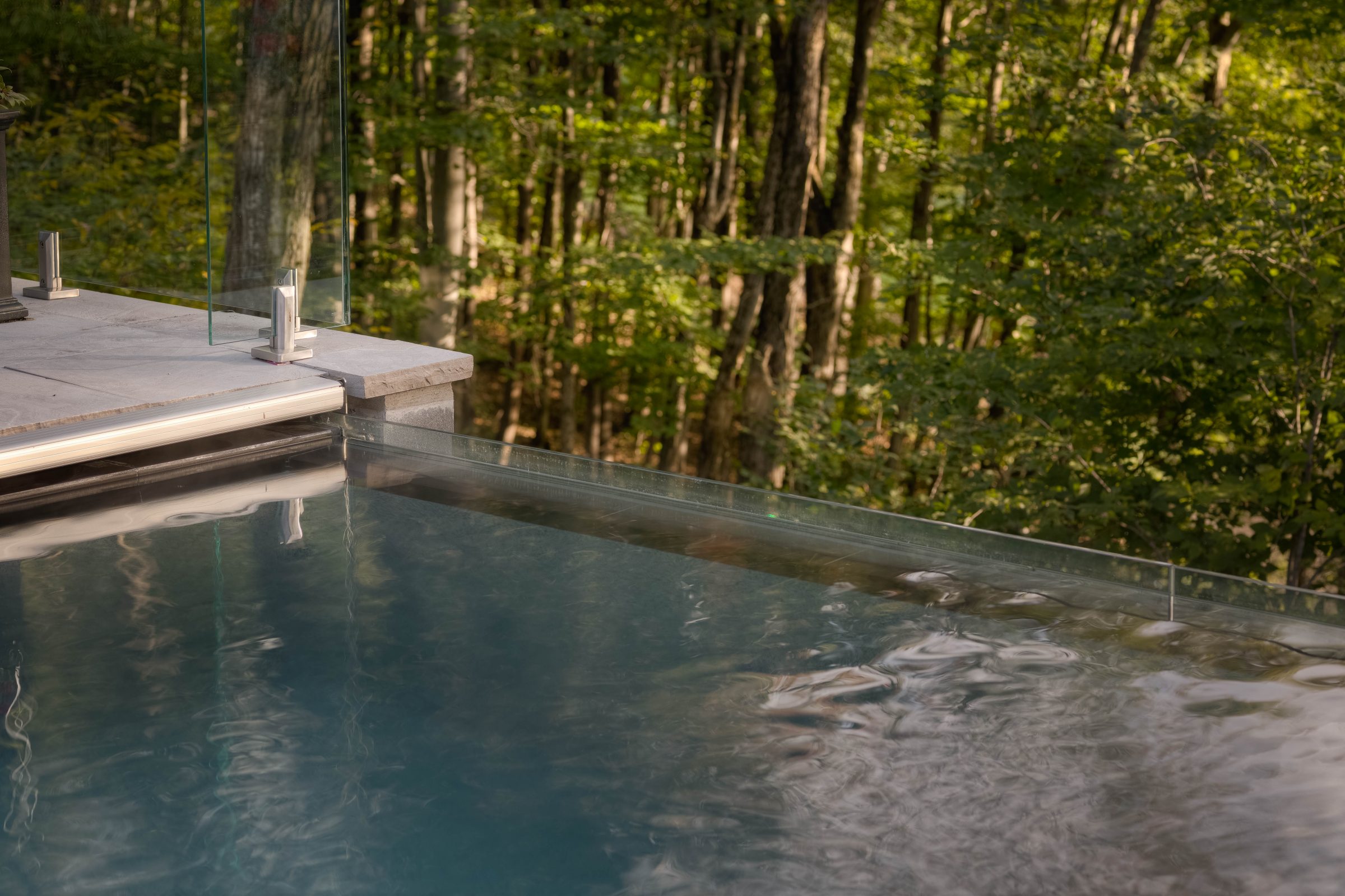 Infinity pool overlooking lush green forest
