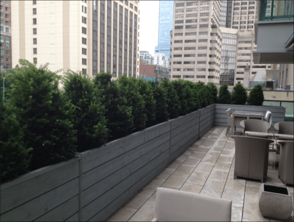 Rooftop patio with plants and city view