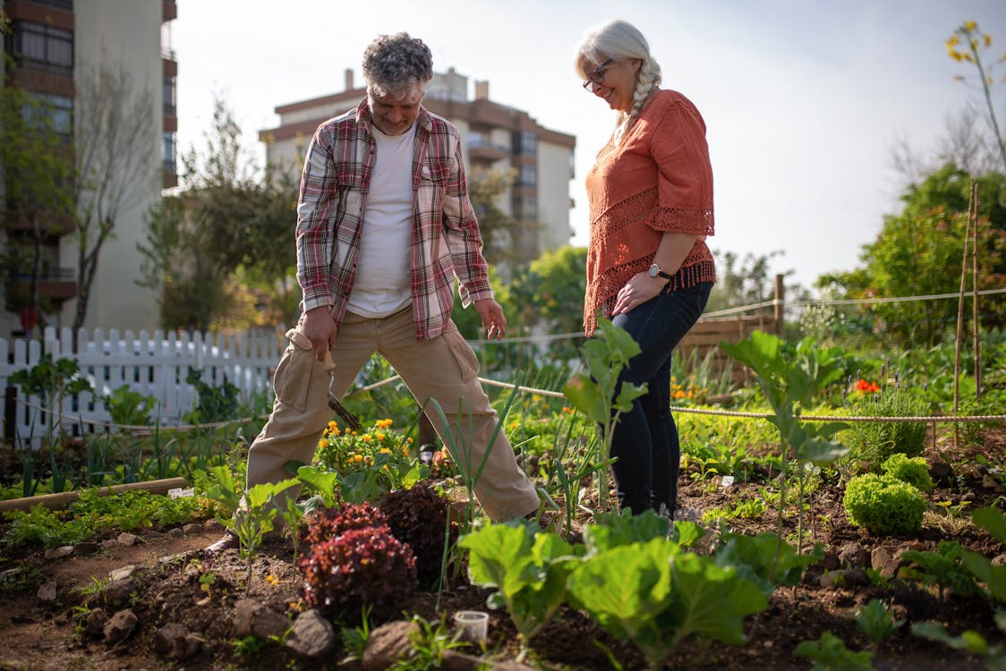 Elderly couple gardening in a lush backyard