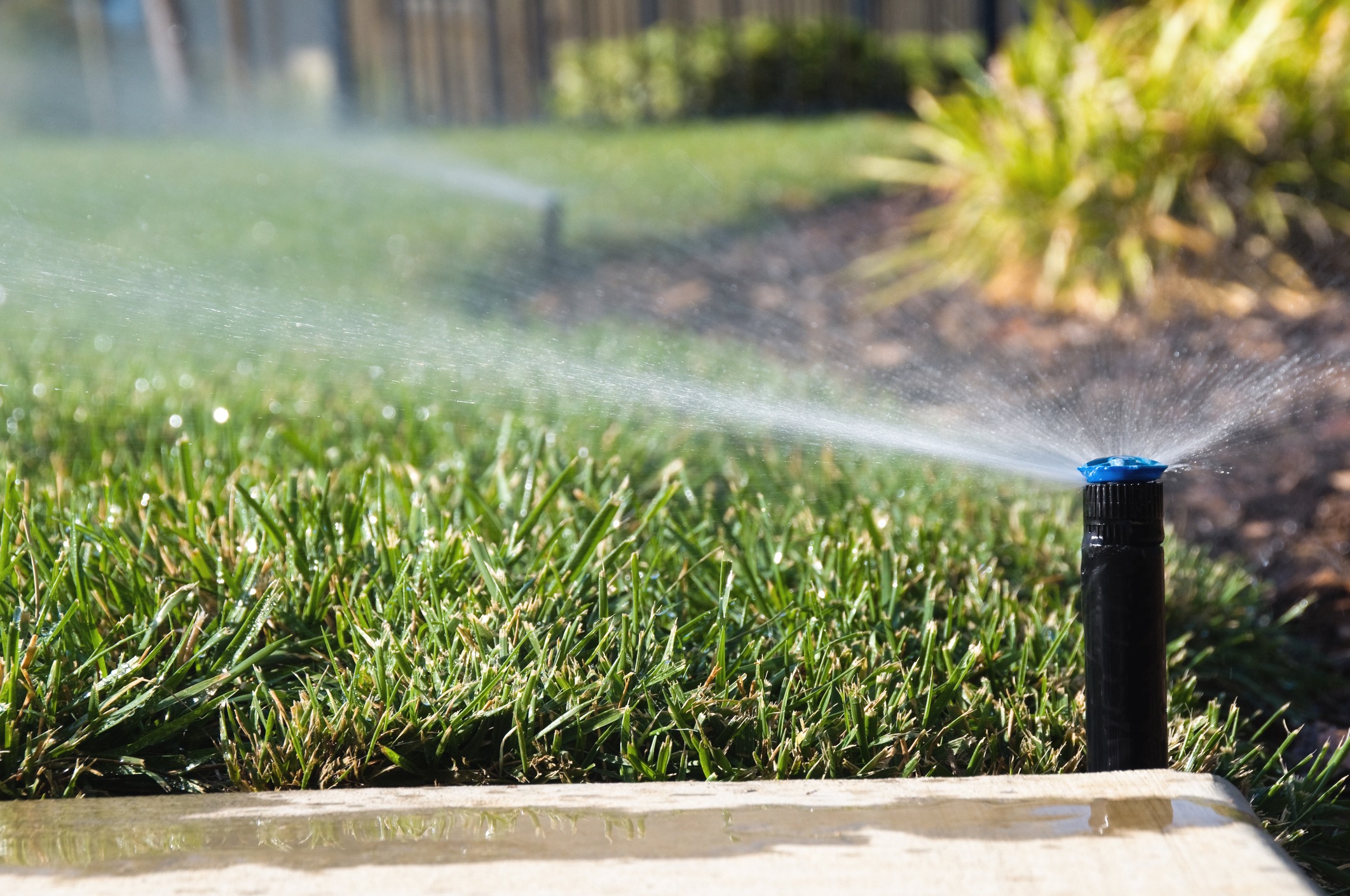 Lawn sprinkler watering green grass in sunlight.