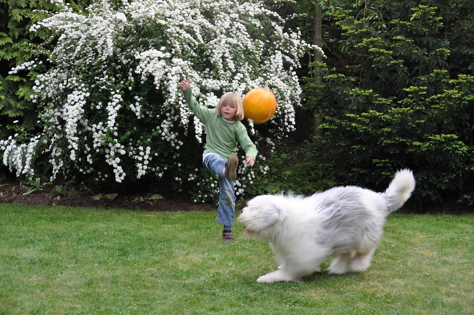 Child playing ball with dog in garden