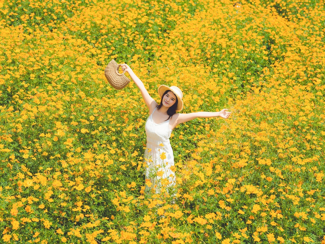 Woman in sunflower field wearing hat and dress.
