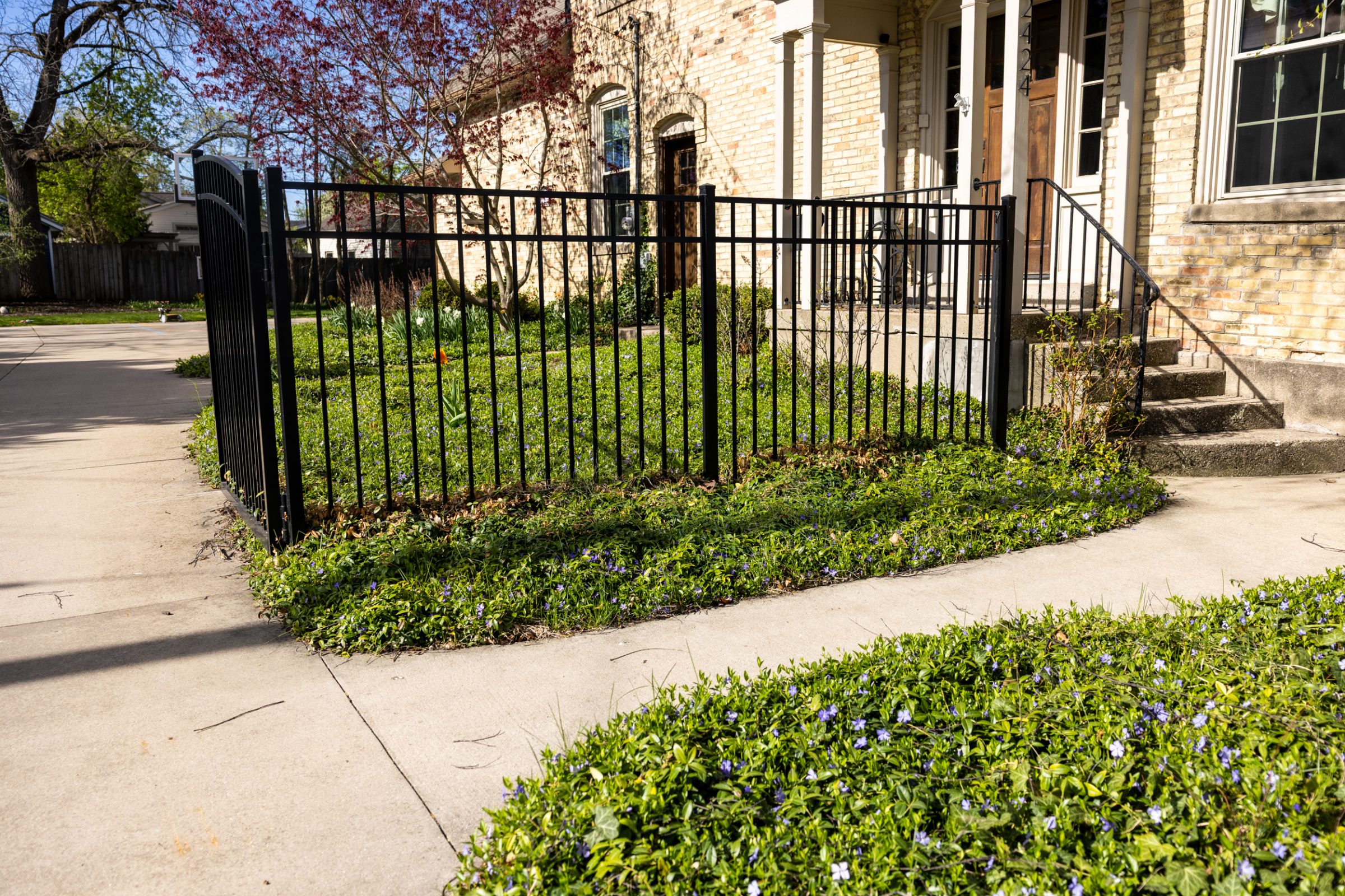 Front yard with iron fence and green plants.