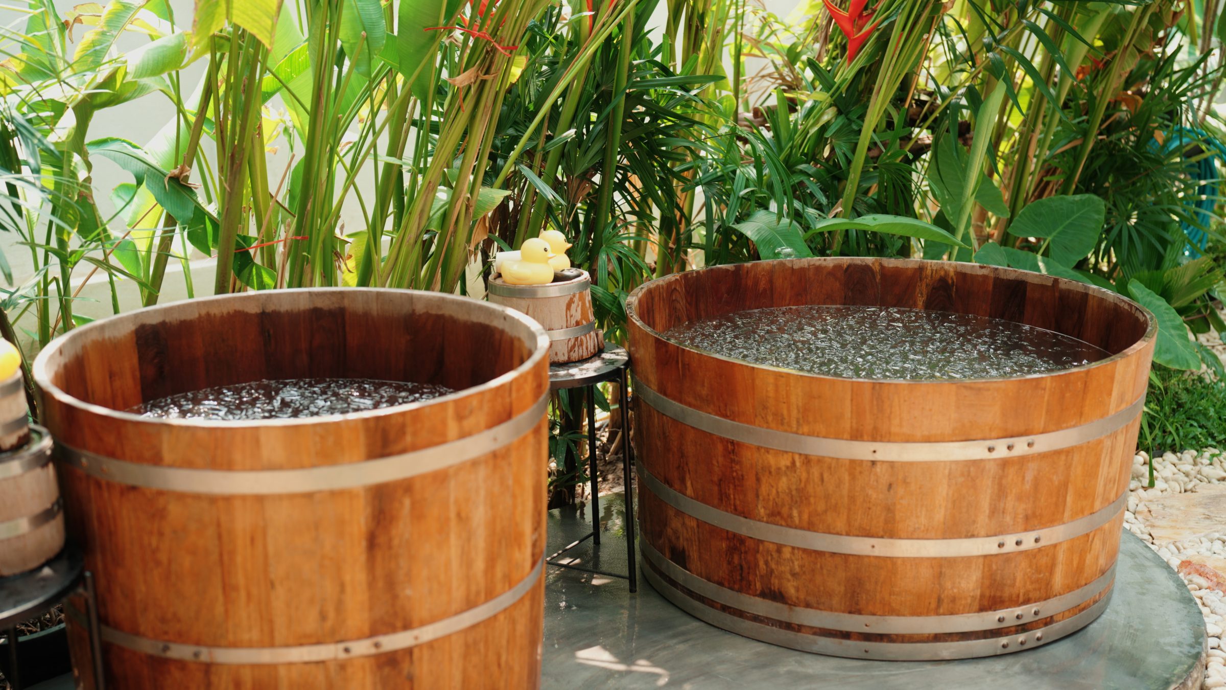 Wooden hot tubs with tropical plants