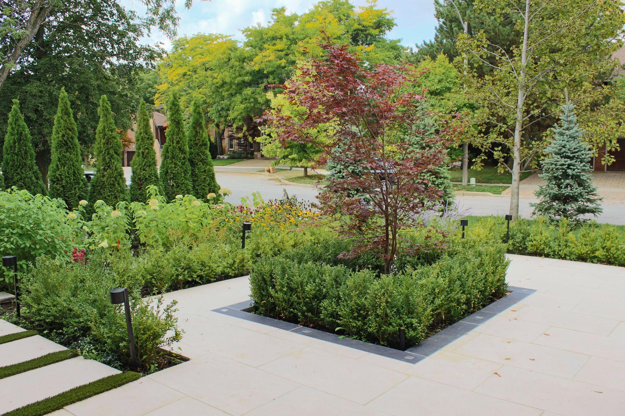 Front yard landscaping with garden beds and modern paving