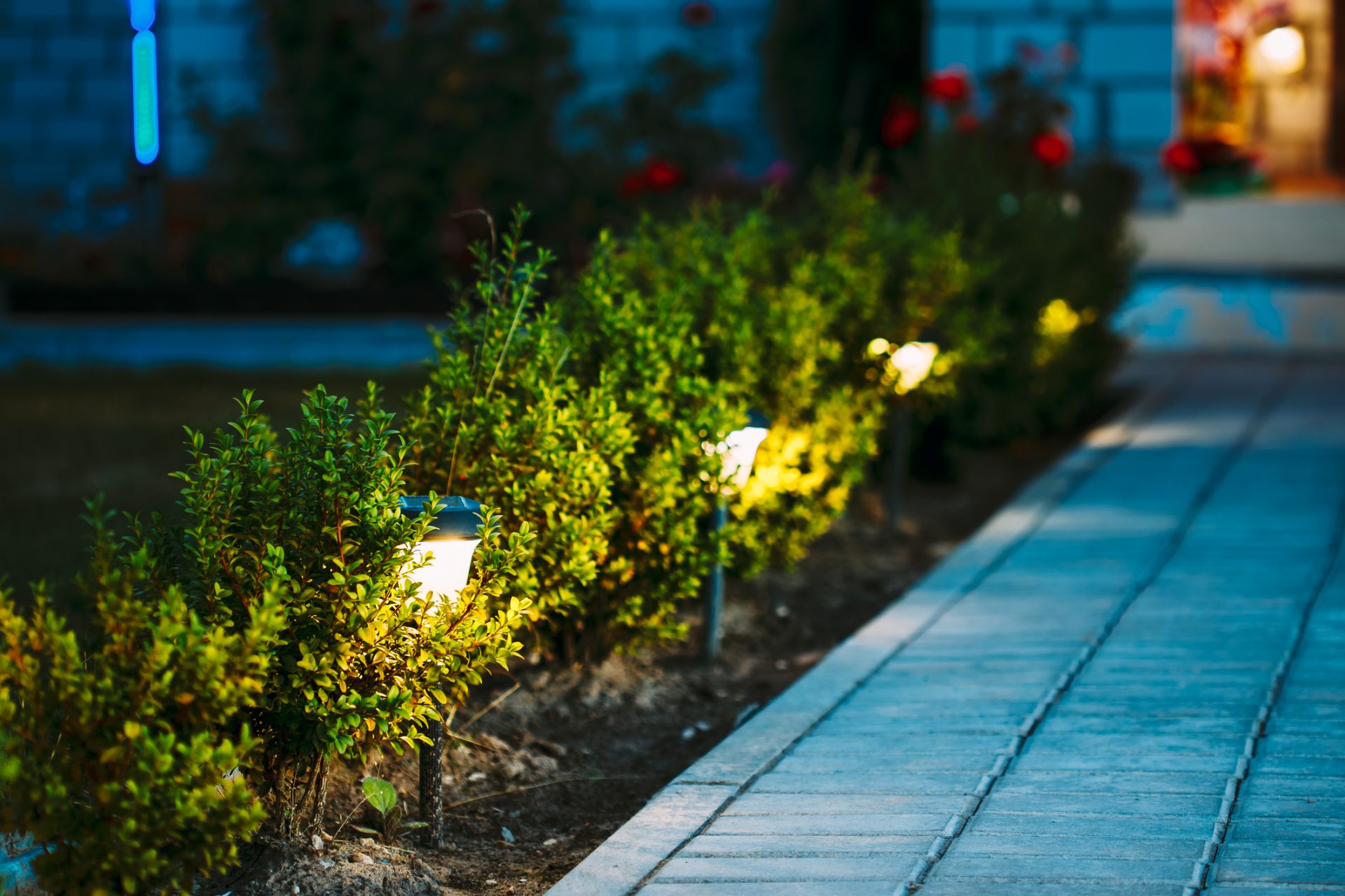 Garden pathway with illuminated small bush lights
